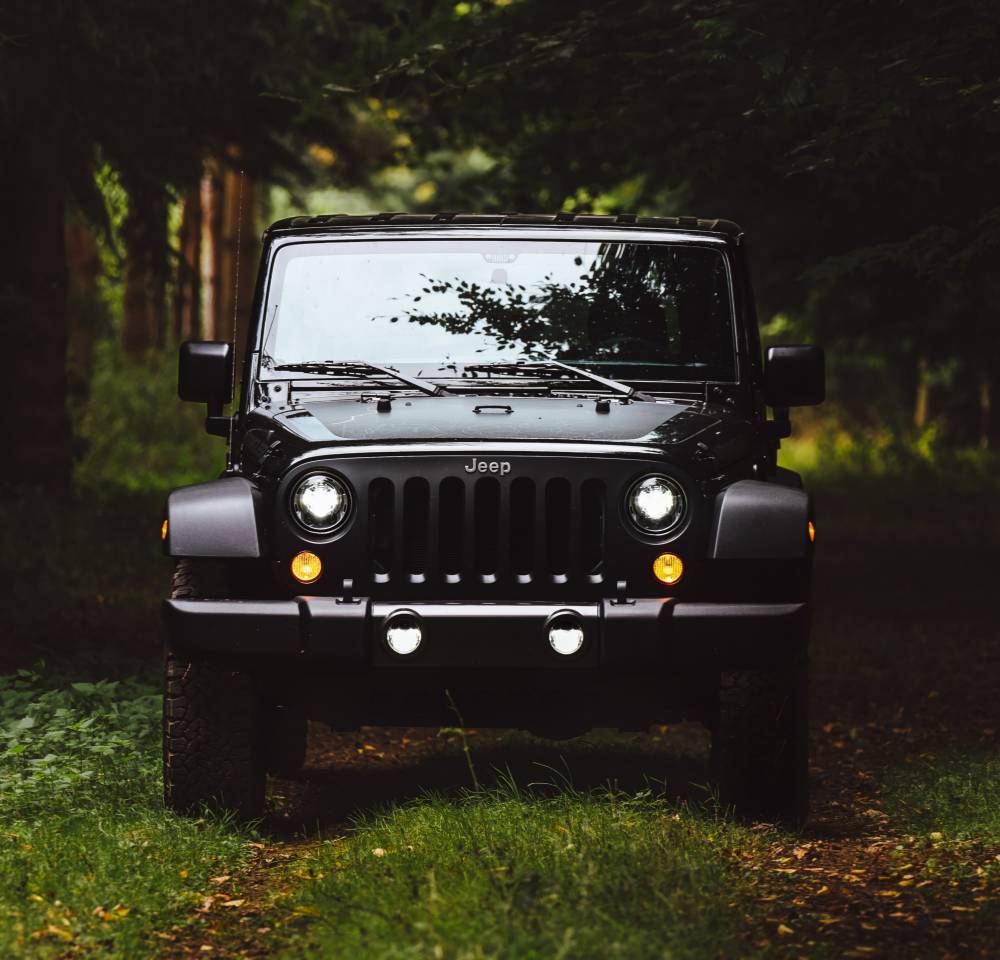 Black Jeep in forest