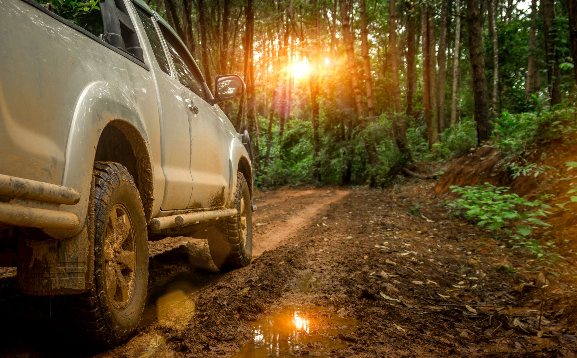 AWD vs 4WD: four wheel driving systems explained - Fluxposure