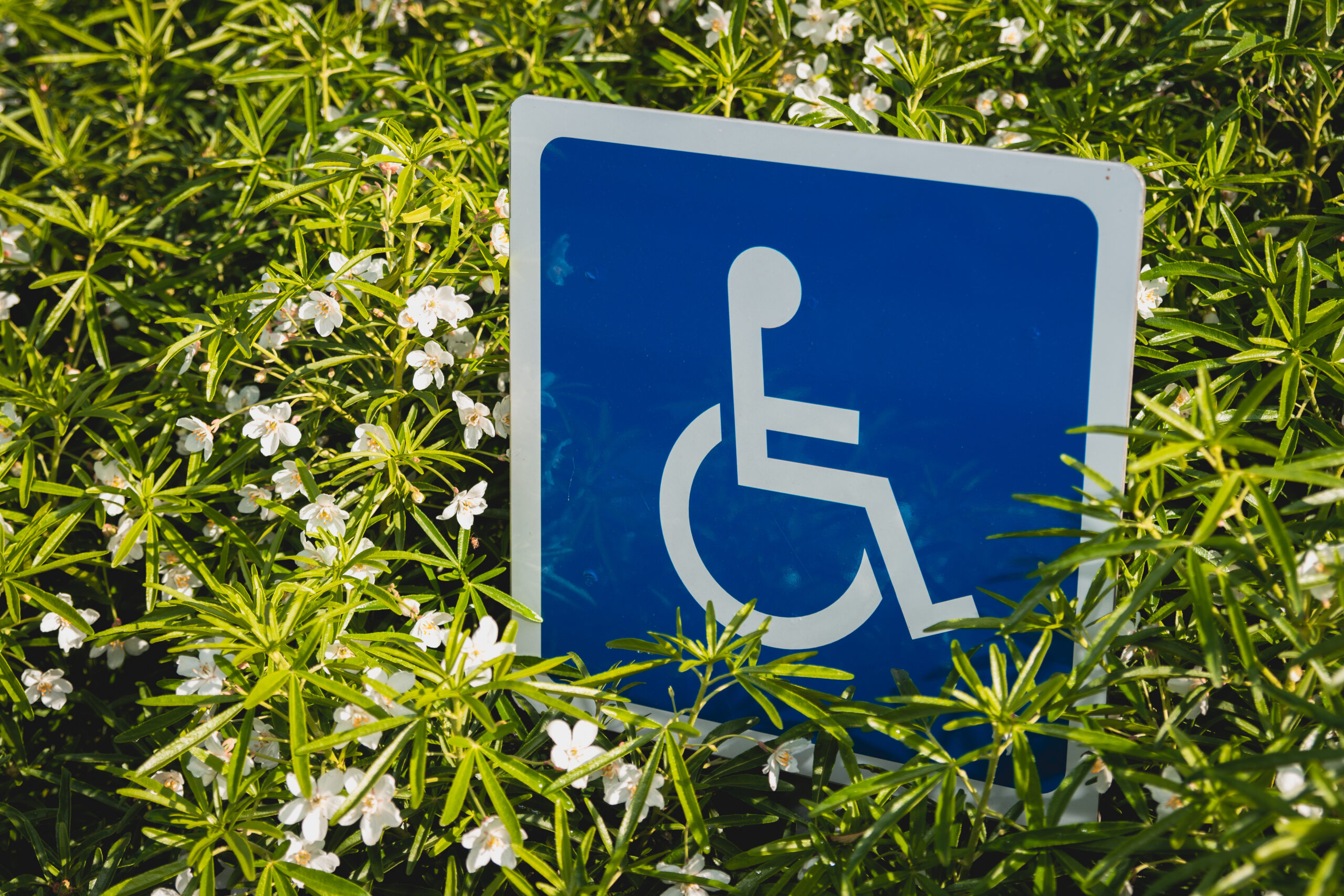 Disabled parking