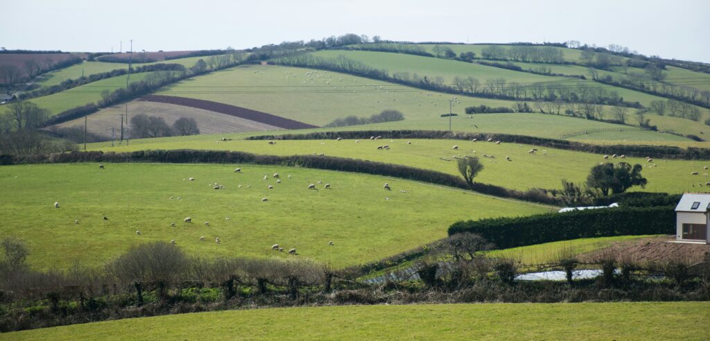 land insurance