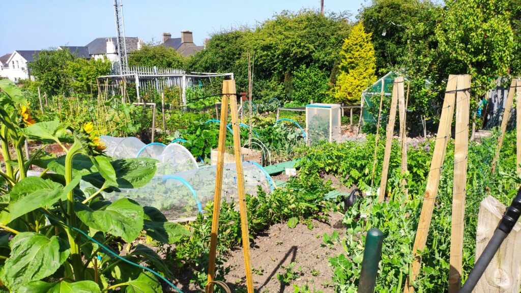 Land insurance allotment
