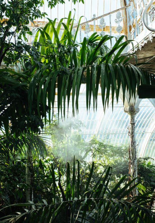 Creating a room with a view — the iconic Victorian glasshouse